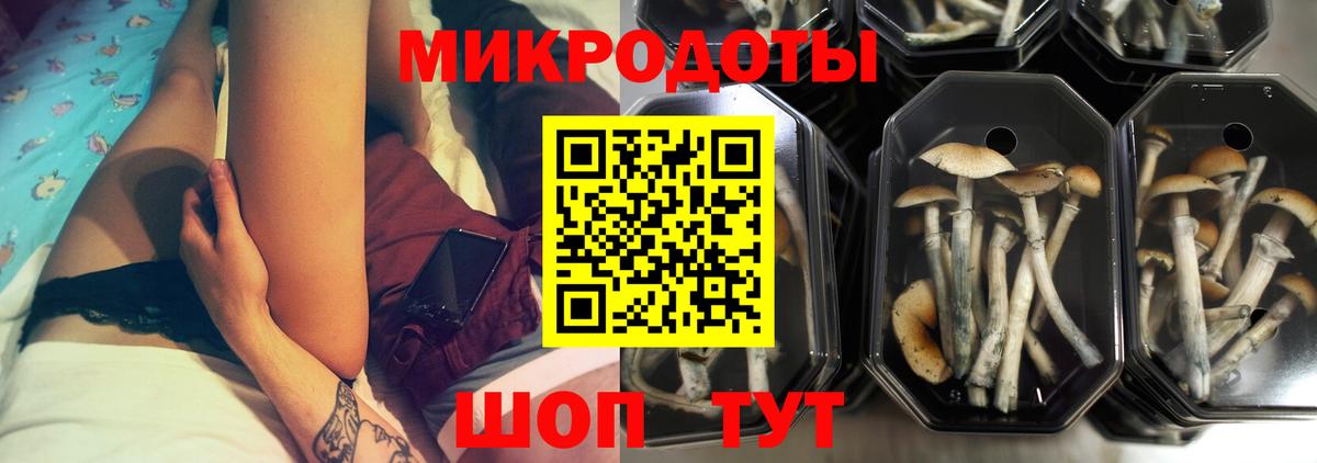 Егорьевск  Псилоцибиновые грибы мицелий  Вход с VPN  Галлюциногенные грибы MAGIC MUSHROOMS 